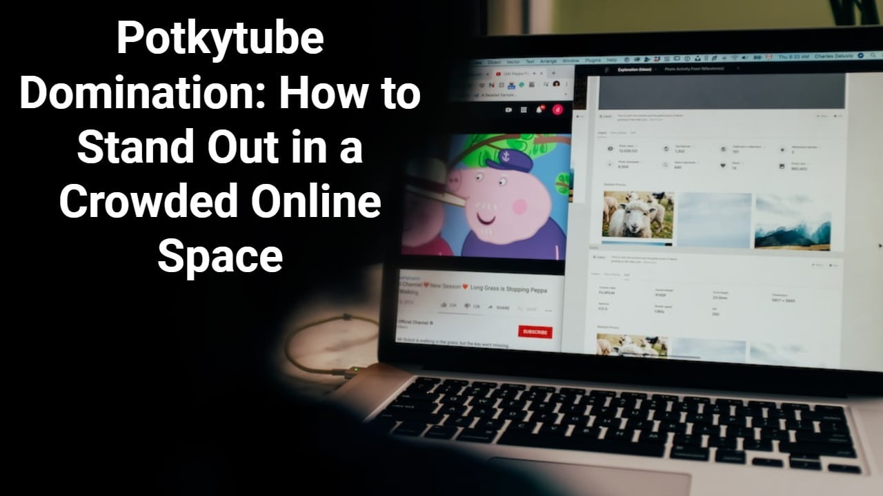 Potkytube Domination: How to Stand Out in a Crowded Online Space
